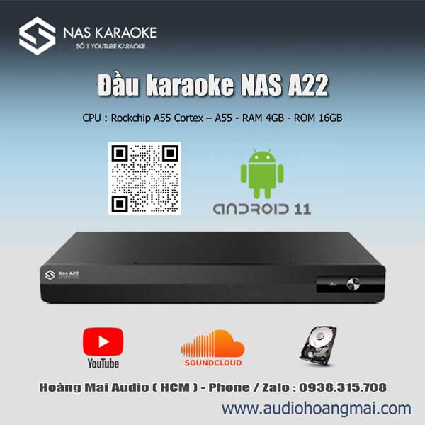 Đầu Nas A22