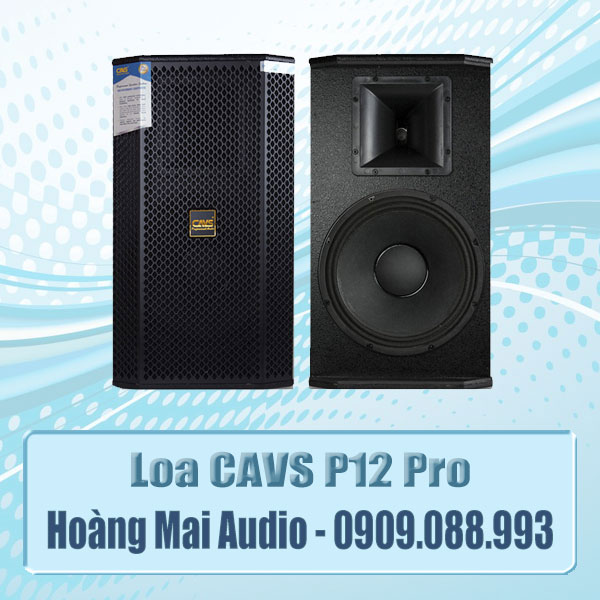Loa karaoke CAVS P12 Pro