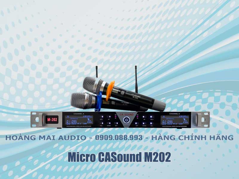 Micro CASound M202